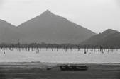 tkf003_475969