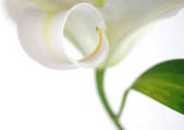 tkf003_487406