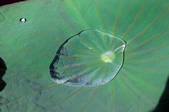 tkf003_487871