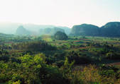tkf003_488211