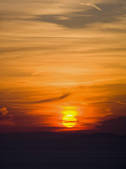 tkf003_508821