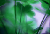 tkf003_519503