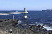 tkf003_526593