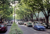 tkf003_529608