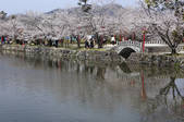 tkf003_531336