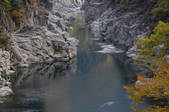 tkf003_533827