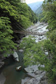 tkf003_533830