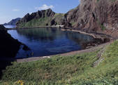 tkf003_534470