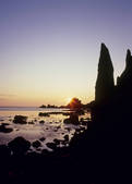 tkf003_534472