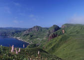 tkf003_534473