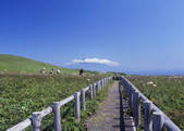 tkf003_534474