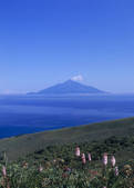 tkf003_534475