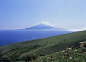 tkf003_534476