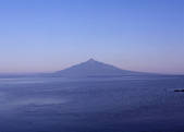 tkf003_534477