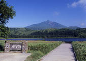 tkf003_534479