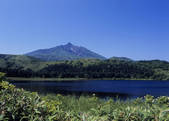 tkf003_534480