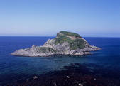 tkf003_534481
