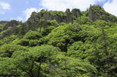 tkf003_534776