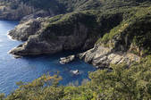 tkf003_534871