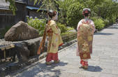 tkf003_537099
