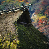 tkf003_537741