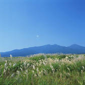 tkf003_537778