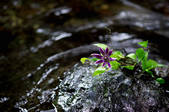 tkf003_538051
