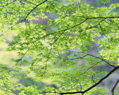 tkf003_540146