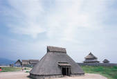 tkf003_541071