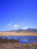 tkf003_541112