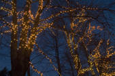 tkf003_542009