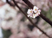 tkf003_544244