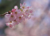 tkf003_544248