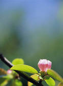 tkf003_544284