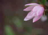 tkf003_544285