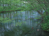 tkf003_544620