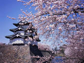 tkf003_546199