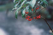 tkf003_546551