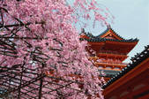 tkf003_546568