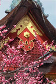 tkf003_546578