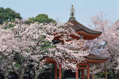tkf003_546593