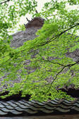 tkf003_546627