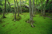 tkf003_546628
