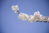 tkf003_550674