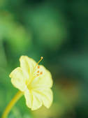 tkf003_552398