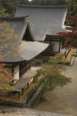 tkf003_552461