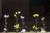 tkf003_552523