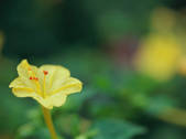 tkf003_552695