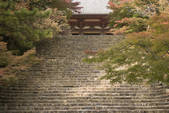 tkf003_552718