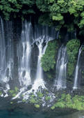 tkf003_554557